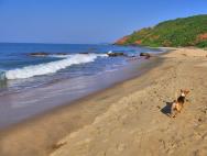 Какие пляжи Гоа выбрать для отдыха?