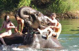 Экскурсии в паттайе деревня слонов